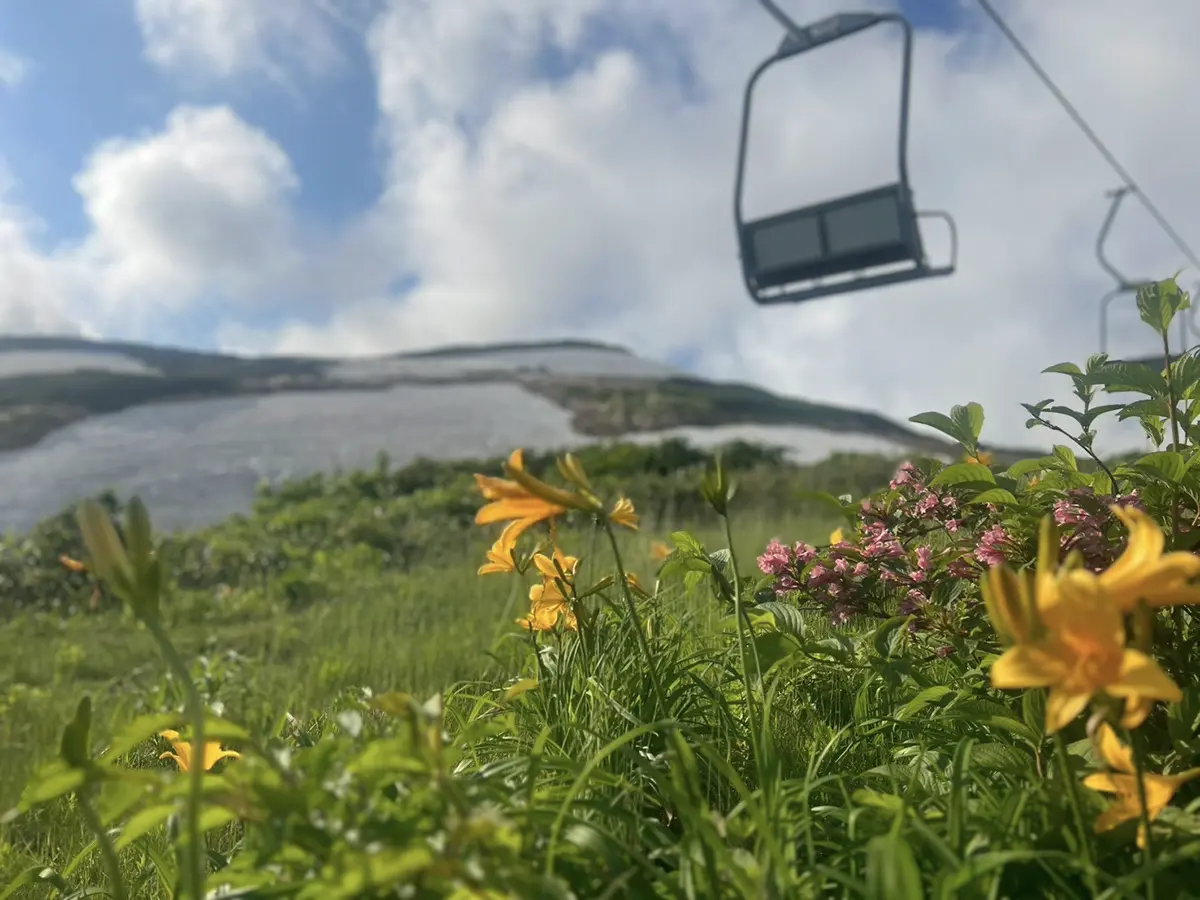 月山のグリーンシーズン