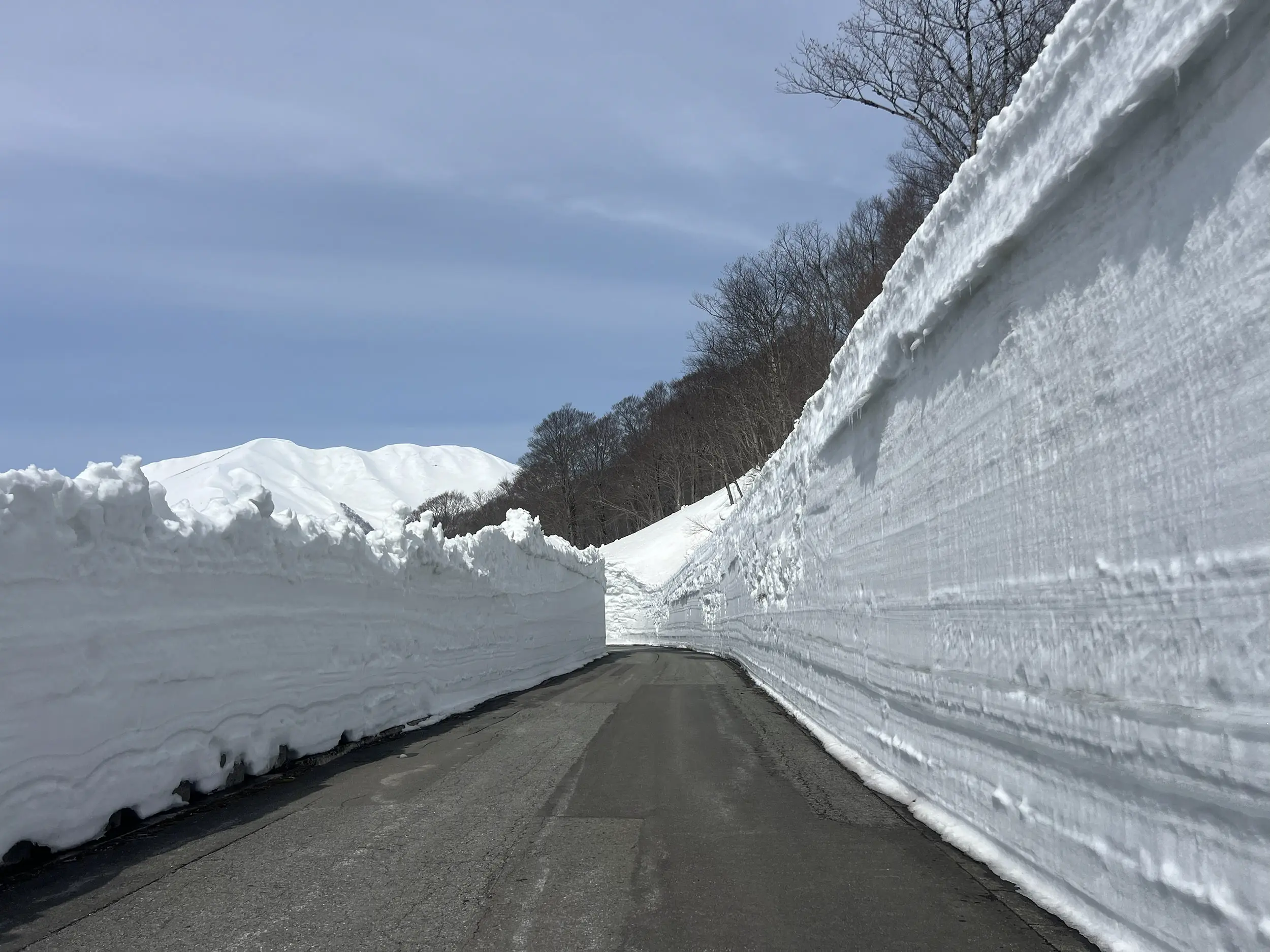 月山スキー場 アクセス・周辺情報