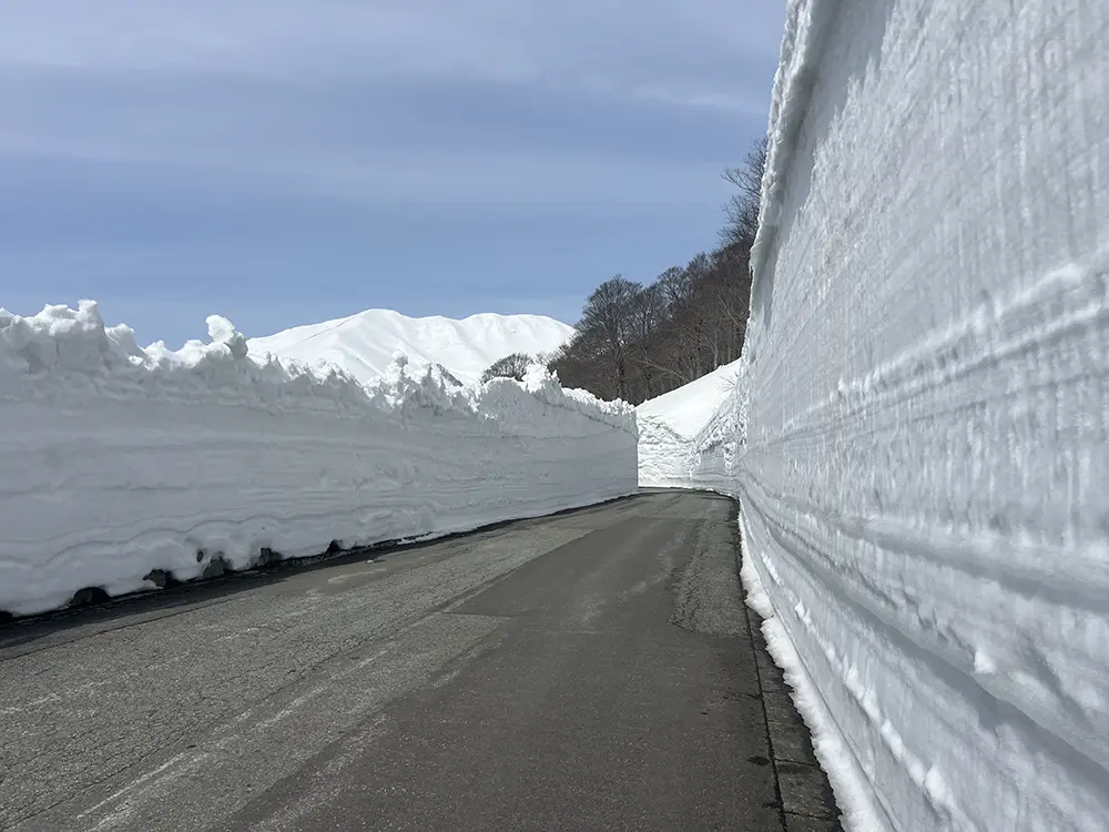 春の月山